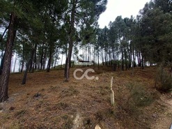 Terreno R�stico T0 - S�o Pedro de Agostem, Chaves, Vila Real - Miniatura: 3/30