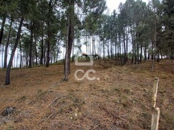 Terreno R�stico T0 - S�o Pedro de Agostem, Chaves, Vila Real - Miniatura: 8/30