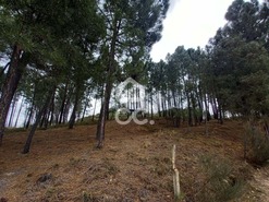 Terreno R�stico T0 - S�o Pedro de Agostem, Chaves, Vila Real - Miniatura: 10/30