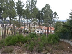 Terreno R�stico T0 - S�o Pedro de Agostem, Chaves, Vila Real - Miniatura: 11/30