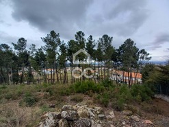 Terreno R�stico T0 - S�o Pedro de Agostem, Chaves, Vila Real - Miniatura: 12/30