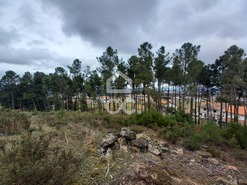 Terreno R�stico T0 - S�o Pedro de Agostem, Chaves, Vila Real - Miniatura: 16/30