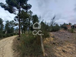 Terreno R�stico T0 - S�o Pedro de Agostem, Chaves, Vila Real - Miniatura: 17/30