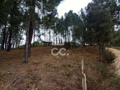 Terreno R�stico T0 - S�o Pedro de Agostem, Chaves, Vila Real - Miniatura: 18/30
