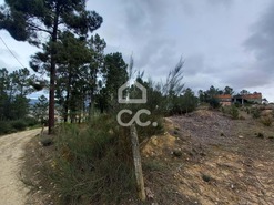 Terreno R�stico T0 - S�o Pedro de Agostem, Chaves, Vila Real - Miniatura: 21/30