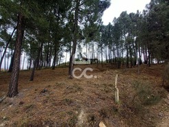 Terreno R�stico T0 - S�o Pedro de Agostem, Chaves, Vila Real - Miniatura: 23/30