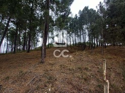 Terreno R�stico T0 - S�o Pedro de Agostem, Chaves, Vila Real - Miniatura: 24/30