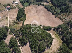 Terreno R�stico T0 - S�o Pedro de Agostem, Chaves, Vila Real - Miniatura: 2/10