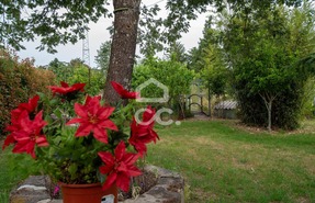 Quinta T1 - Vale de Anta, Chaves, Vila Real - Miniatura: 26/34