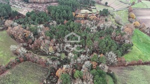 Terreno R�stico T0 - Redondelo, Chaves, Vila Real - Miniatura: 12/15
