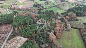 Terreno R�stico T0 - Redondelo, Chaves, Vila Real - Miniatura: 14/15