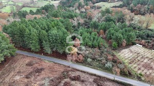 Terreno R�stico T0 - Redondelo, Chaves, Vila Real - Miniatura: 15/15