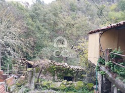 Ruina T0 - So Julio de Montenegro, Chaves, Vila Real - Miniatura: 3/18