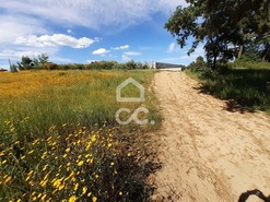 Terreno R�stico T0 - Santa Maria Maior, Chaves, Vila Real - Miniatura: 5/9