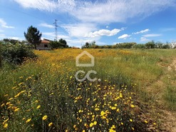 Terreno R�stico T0 - Santa Maria Maior, Chaves, Vila Real - Miniatura: 6/9