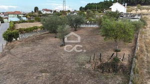 Terreno R�stico T0 - S�o Pedro de Agostem, Chaves, Vila Real - Miniatura: 13/26
