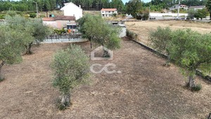 Terreno R�stico T0 - S�o Pedro de Agostem, Chaves, Vila Real - Miniatura: 14/26