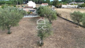 Terreno R�stico T0 - S�o Pedro de Agostem, Chaves, Vila Real - Miniatura: 15/26