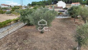 Terreno R�stico T0 - S�o Pedro de Agostem, Chaves, Vila Real - Miniatura: 16/26