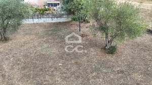 Terreno R�stico T0 - S�o Pedro de Agostem, Chaves, Vila Real - Miniatura: 17/26