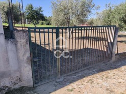 Terreno R�stico T0 - S�o Pedro de Agostem, Chaves, Vila Real - Miniatura: 21/26