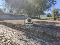 Terreno R�stico T0 - S�o Pedro de Agostem, Chaves, Vila Real - Miniatura: 22/26