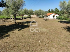 Terreno R�stico T0 - S�o Pedro de Agostem, Chaves, Vila Real - Miniatura: 24/26