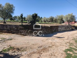 Terreno R�stico T0 - S�o Pedro de Agostem, Chaves, Vila Real - Miniatura: 25/26