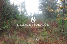 Terreno R�stico - Carvalhosa, Pa�os de Ferreira, Porto - Miniatura: 3/7