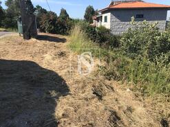 Terreno R�stico - Tabuado, Marco de Canaveses, Porto - Miniatura: 3/9