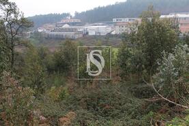 Terreno R�stico - Meixomil, Pa�os de Ferreira, Porto - Miniatura: 4/13