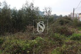 Terreno R�stico - Meixomil, Pa�os de Ferreira, Porto - Miniatura: 10/13