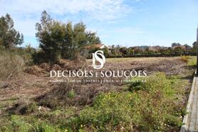 Terreno R�stico - Carvalhosa, Pa�os de Ferreira, Porto - Miniatura: 3/6