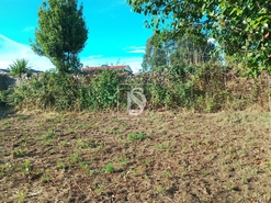 Terreno R�stico - Meixomil, Pa�os de Ferreira, Porto - Miniatura: 6/11