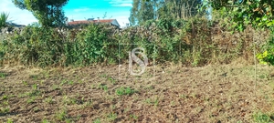 Terreno R�stico - Meixomil, Pa�os de Ferreira, Porto - Miniatura: 7/11