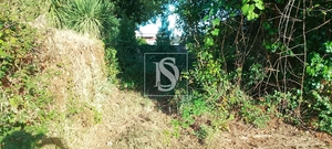 Terreno R�stico - Meixomil, Pa�os de Ferreira, Porto - Miniatura: 8/11