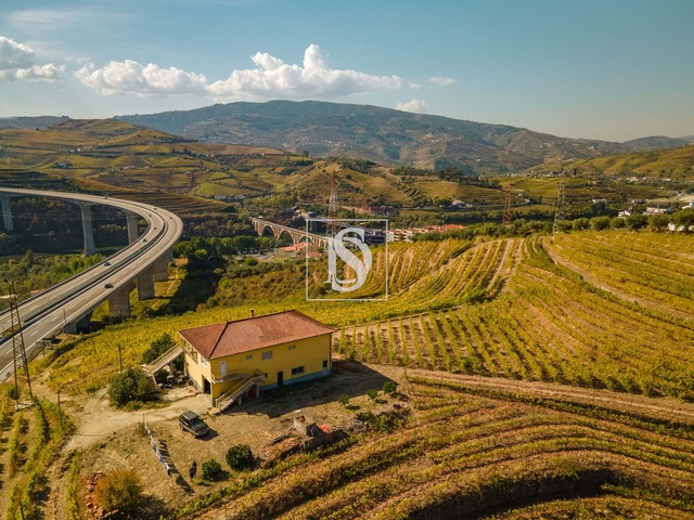 Quinta T4 - Peso da R�gua, Peso da R�gua, Vila Real - Imagem grande