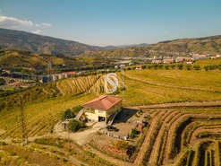 Quinta T4 - Peso da R�gua, Peso da R�gua, Vila Real - Miniatura: 1/17