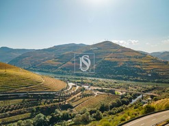 Quinta T4 - Peso da R�gua, Peso da R�gua, Vila Real - Miniatura: 4/17