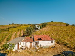 Quinta T4 - Peso da R�gua, Peso da R�gua, Vila Real - Miniatura: 13/17