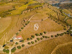 Quinta T4 - Peso da R�gua, Peso da R�gua, Vila Real - Miniatura: 15/17