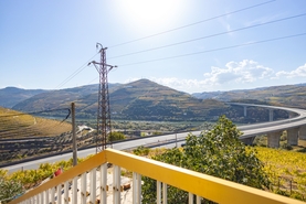 Quinta - Peso da R�gua, Peso da R�gua, Vila Real - Miniatura: 11/17