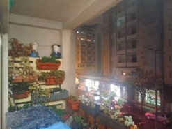 Apartamento - Marco de Canaveses, Marco de Canaveses, Porto - Miniatura: 9/21