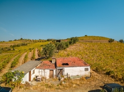Quinta T4 - Peso da R�gua, Peso da R�gua, Vila Real - Miniatura: 16/17