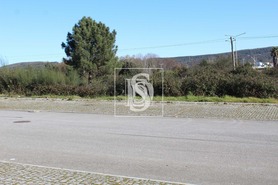 Terreno R�stico T0 - Valongo, Valongo, Porto - Miniatura: 3/7