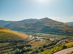 Quinta - Peso da R�gua, Peso da R�gua, Vila Real - Miniatura: 4/17