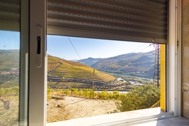 Quinta - Peso da R�gua, Peso da R�gua, Vila Real - Miniatura: 12/17