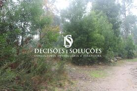 Terreno R�stico - Carvalhosa, Pa�os de Ferreira, Porto - Miniatura: 2/7