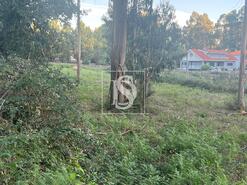 Terreno R�stico - Eiriz, Pa�os de Ferreira, Porto - Miniatura: 3/6