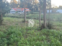 Terreno R�stico T0 - Eiriz, Pa�os de Ferreira, Porto - Miniatura: 5/6